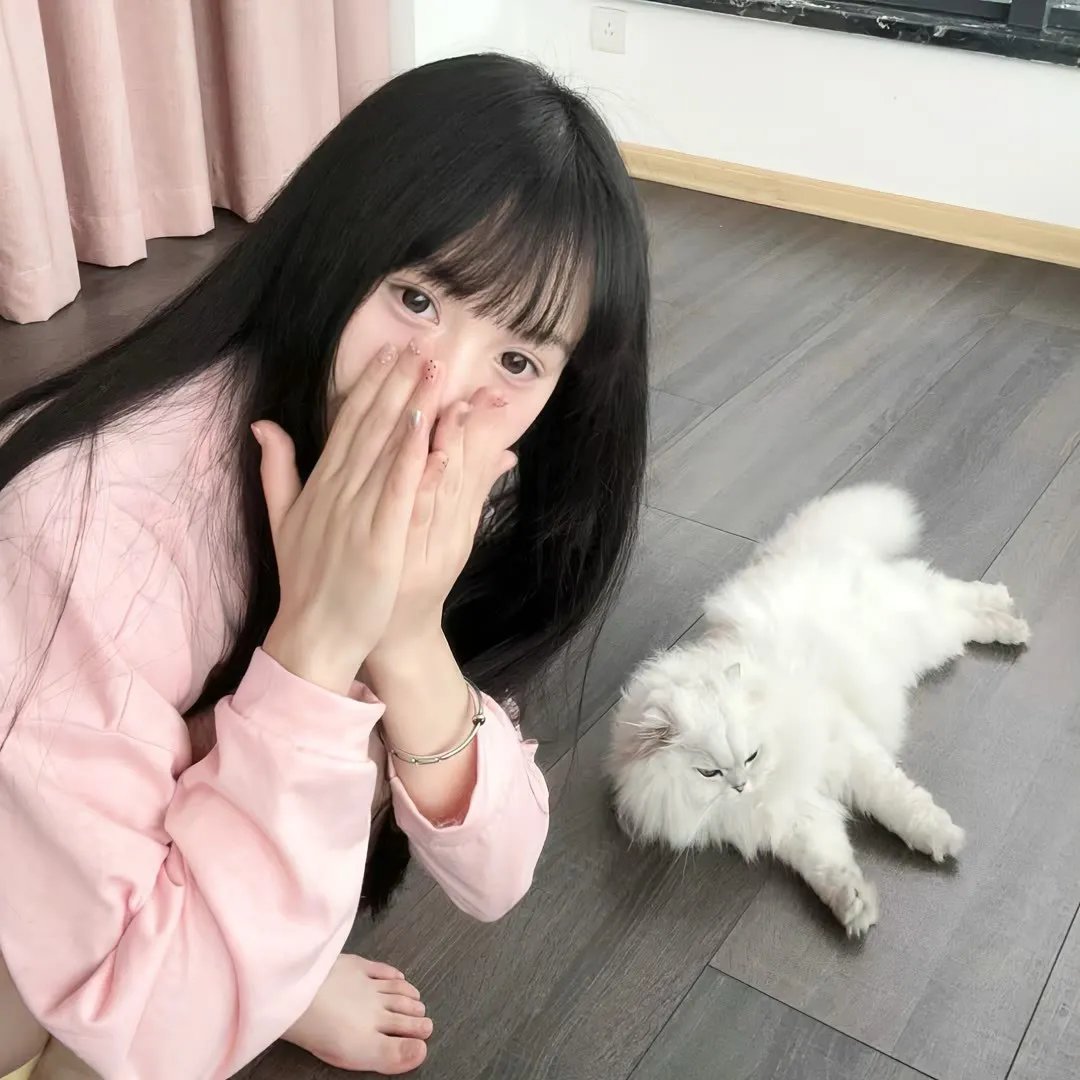 乐丹西亚:魔法王国的传说